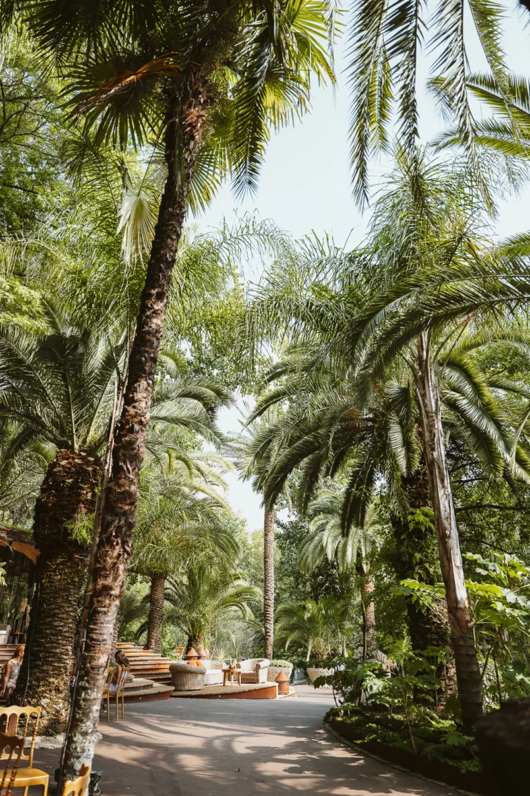 Boda Andrea y Fran Portugal-232